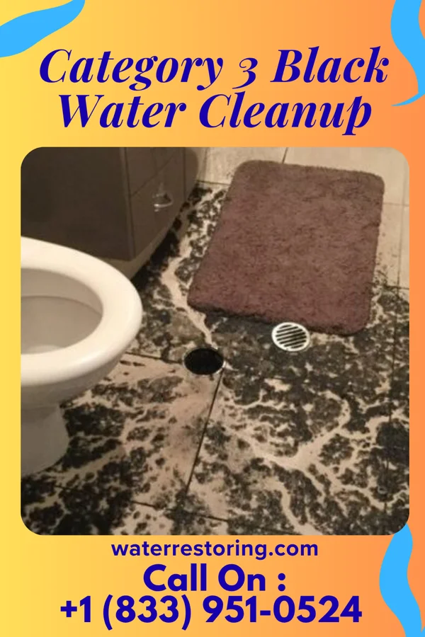 Category 3 Black Water Cleanup in Little Ponderosa, OK