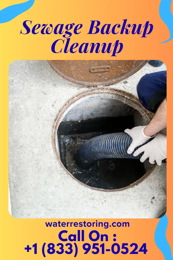 Sewage Backup Cleanup in Little Ponderosa, OK